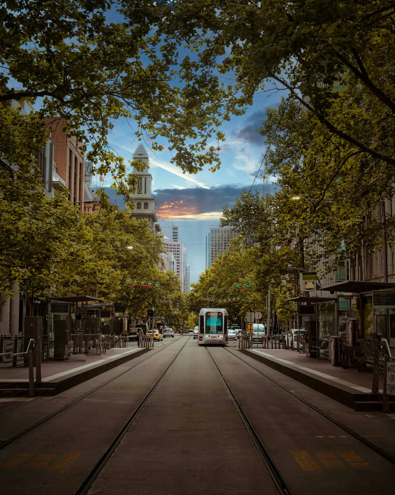 Collins Street in Melbourne's CBD at dusk, with a tram between tree-lined heritage facades