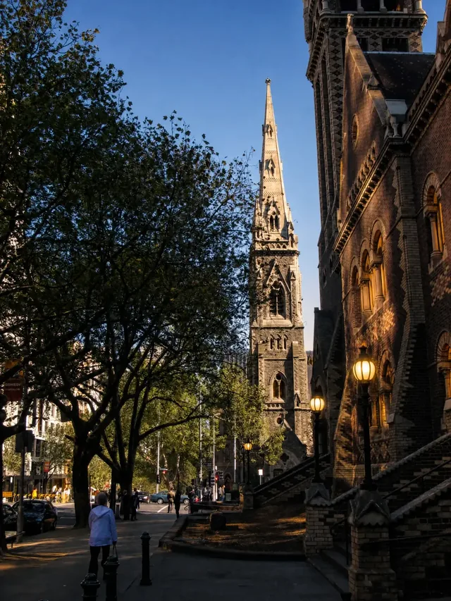 Collins Street at dusk, plane trees along the Paris End of Melbourne's CBD