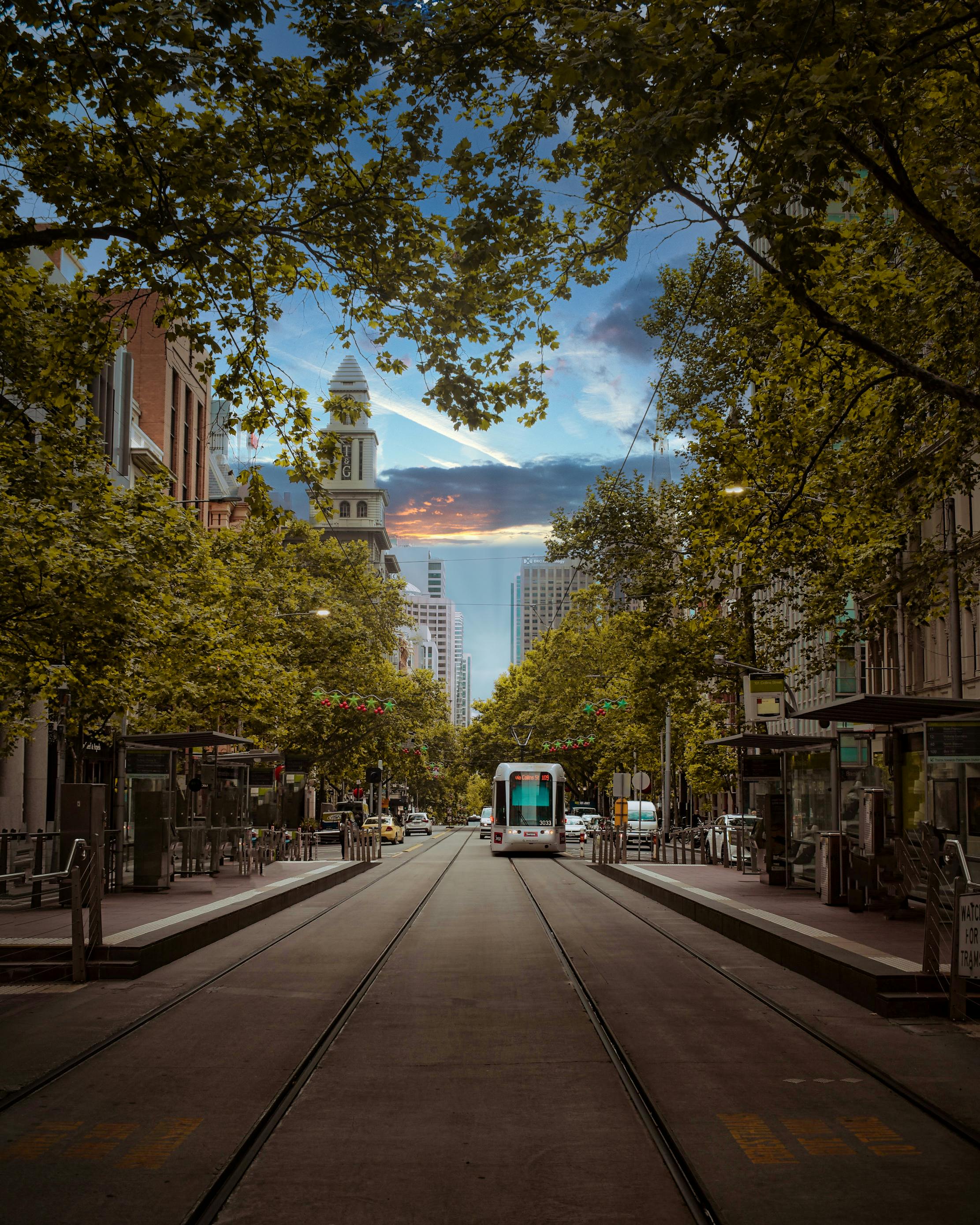 Collins Street at dusk, plane trees arching over the tram tracks